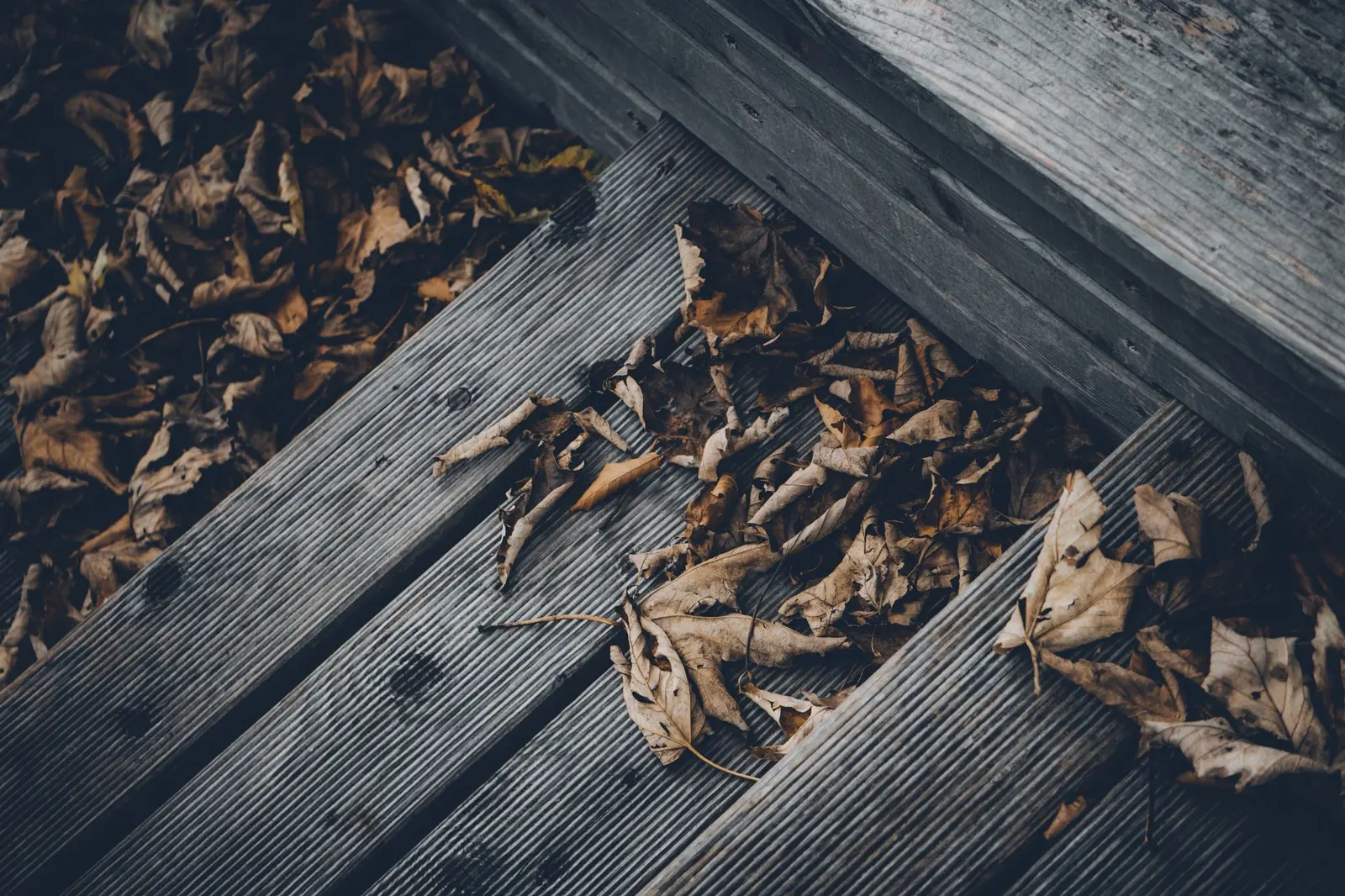 Signs Your Deck Needs Repair